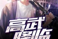 高武降临（林枫李月婵）在线免费阅读-艾米文学