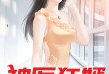 小说《神医狂婿》章节阅读-艾米文学