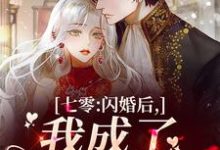 沈洁容迟是哪本书的主角?寻找七零:闪婚后,我成了首长夫人免费阅读-艾米文学