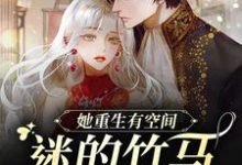 她重生有空间，迷的竹马魂颠倒这本小说在哪里可以看？哪里有免费试读章节？-艾米文学