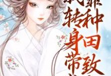 主人公叫赵婉馨的小说穿成寡妇？我转身带崽靠种田致富在线阅读章节-艾米文学