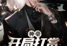 神豪：开局打赏主播一个亿小说的免费电子版在哪里可以下载或阅读？-艾米文学