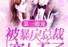 李时笙沈弋宸的完整故事在哪里？读第一婚宠：被暴戾总裁宠上天了小说-艾米文学