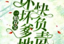 求一胎双宝：坏坏爹地快负责小说免费资源-艾米文学