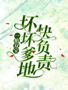 一胎双宝：坏坏爹地快负责小说有没有完结版在线？