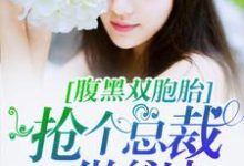 小说《腹黑双胞胎：抢个总裁做爹地》章节免费阅读-艾米文学
