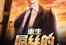 在线寻找重生：屌丝的逆袭之路小说的无删减版本-艾米文学