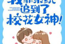 林琛宋清婉小说在线章节免费阅读（我靠系统追到了校花女神！无弹窗无删减）-艾米文学