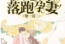 已完结小说《娶一送二，厉总的落跑孕妻》章节免费阅读-艾米文学
