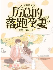 已完结小说《娶一送二，厉总的落跑孕妻》章节免费阅读