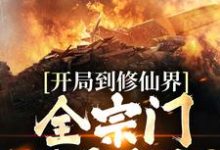 小说《开局到修仙界，全宗门都是精怪？》章节免费阅读-艾米文学