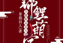 锦鲤萌宝：全能娘亲是大佬小说的免费阅读版本在哪里可以找到？-艾米文学