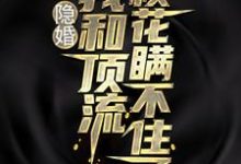 叶天苏月灵为主角的小说隐婚:我和顶流校花瞒不住了在线阅读-艾米文学