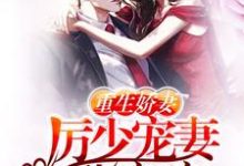 完结版《重生娇妻：厉少宠妻甜蜜蜜》免费阅读-艾米文学