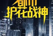 都市护花战神免费阅读，都市护花战神叶真林清音-艾米文学