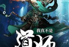 免费看我真不是道师小说的网站有哪些?-艾米文学