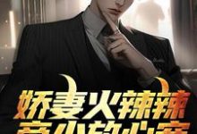 娇妻火辣辣：帝少放心宠小说阅读，娇妻火辣辣：帝少放心宠完结版-艾米文学