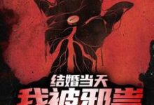 在线寻找赵九庭苏清黎的小说，结婚当天，我被邪祟拿了一血免费阅读-艾米文学