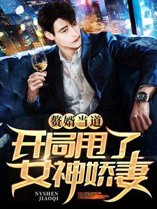 叶辰杨紫曦小说在线章节免费阅读（赘婿当道：开局甩了女神娇妻无弹窗无删减）