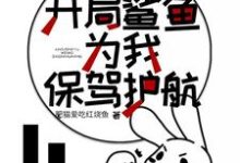 木筏求生：开局鲨鱼为我保驾护航小说全文哪里可以免费看？-艾米文学