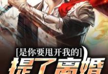 小说《是你要甩开我的，提了离婚你哭啥？》章节阅读-艾米文学