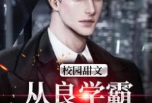 校园甜文：从良学霸，俘获少女心小说全文哪里可以免费看？-艾米文学