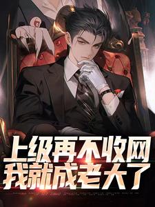 江小北为主角的小说好看吗？免费读上级再不收网，我就成老大了