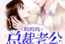 小说《呜呜呜，总裁老公是坏蛋》章节免费阅读-艾米文学