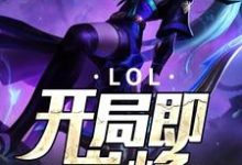 LOL：开局即巅峰小说免费资源，LOL：开局即巅峰在线阅读-艾米文学