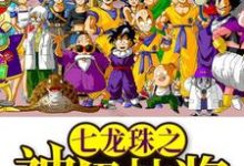 七龙珠之神级抽奖叶林布尔玛小说免费阅读-艾米文学
