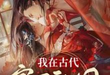 赵寒苏映雪为主角的小说叫什么？免费看我在古代，富可敌国-艾米文学