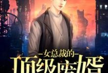 小说《女总裁的顶级废婿》章节免费阅读-艾米文学