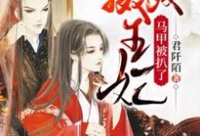 男女主人公魏安歌炎熠痕小说摄政王妃马甲被扒了章节免费阅读-艾米文学