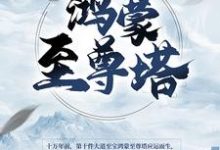 男女主人公楚霄柳寒烟小说鸿蒙至尊塔章节免费阅读-艾米文学