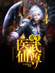 哪里能找到重生医武仙尊小说的全部章节？