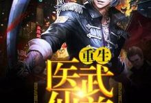 小说《重生医武仙尊》在线章节阅读-艾米文学