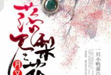 落尽梨花月又西陆灵曦顾临渊小说大结局免费试读-艾米文学