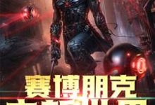 《赛博朋克之新世界》小说章节在线试读,《赛博朋克之新世界》最新章节目录-艾米文学