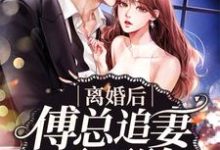 完结版《离婚后傅总追妻不要脸》在线免费阅读-艾米文学