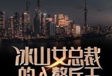 冰山女总裁的入赘兵王叶秋林清雅,冰山女总裁的入赘兵王在线无弹窗阅读-艾米文学