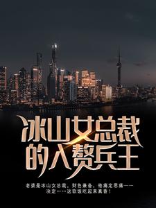 冰山女总裁的入赘兵王叶秋林清雅，冰山女总裁的入赘兵王在线无弹窗阅读