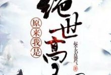 小说《原来我是绝世高人》章节阅读-艾米文学