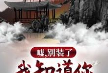完结版《嘘,别装了,我知道你所有过往》免费阅读-艾米文学