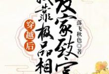 顾雨晨江宏信小说在哪里可以看-艾米文学