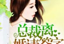 总裁,离婚请签字小说无弹窗阅读的网站推荐-艾米文学