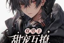 小说《双男主：甜宠互撩，双向奔赴》章节免费阅读-艾米文学