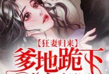 顾笙欢傅庭深傅希白傅庭小说《狂妻归来：爹地跪下唱征服》在线阅读-艾米文学