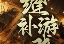 缝补游戏免费阅读，缝补游戏章节在线阅读-艾米文学