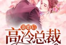 退婚后，高冷总裁超黏我小说，退婚后，高冷总裁超黏我叶桐若苏辰-艾米文学
