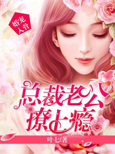 唐向暖陆霆琛小说叫什么（婚宠入骨：总裁老公撩上瘾免费阅读）